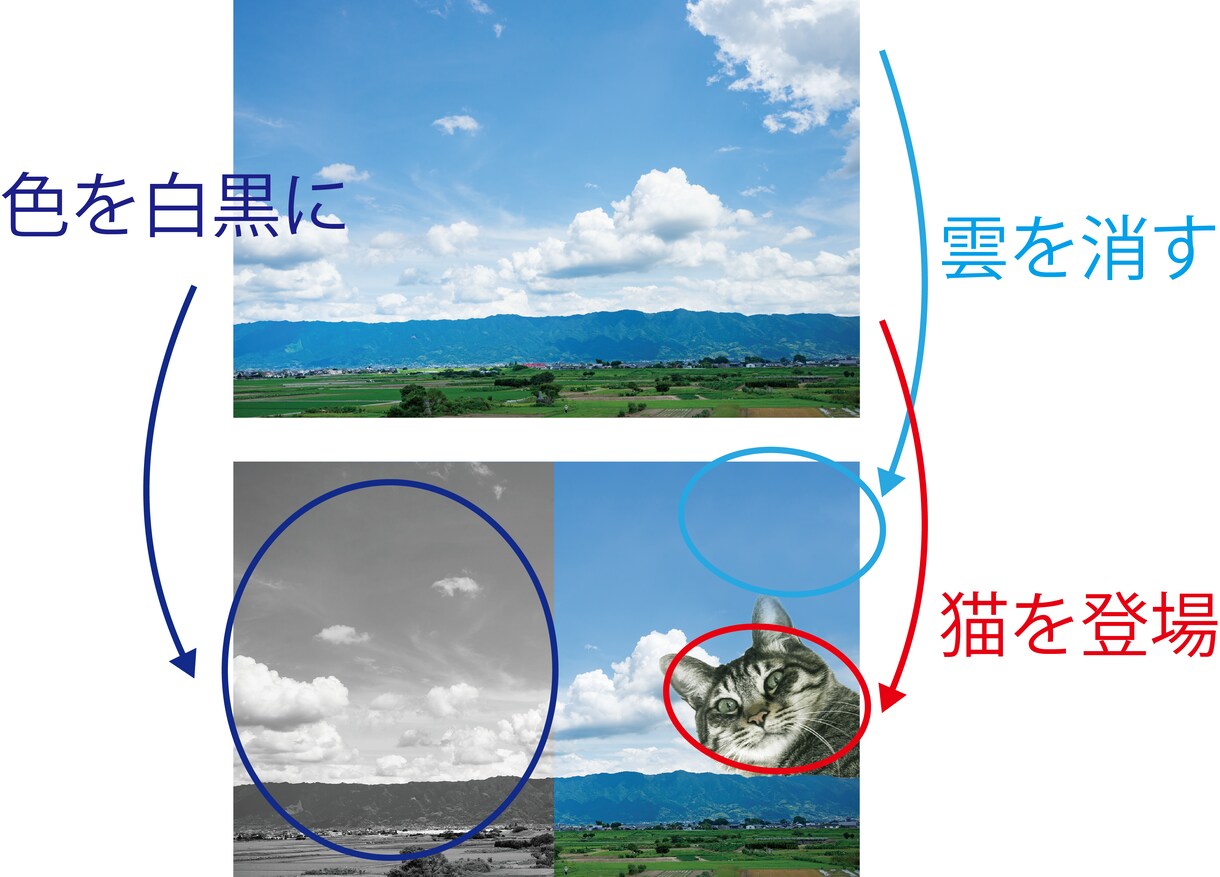 画像編集、合成、明るさ修正、文字入れ等お手伝します ご要望に合わせて柔軟に対応させて頂きます。 イメージ1