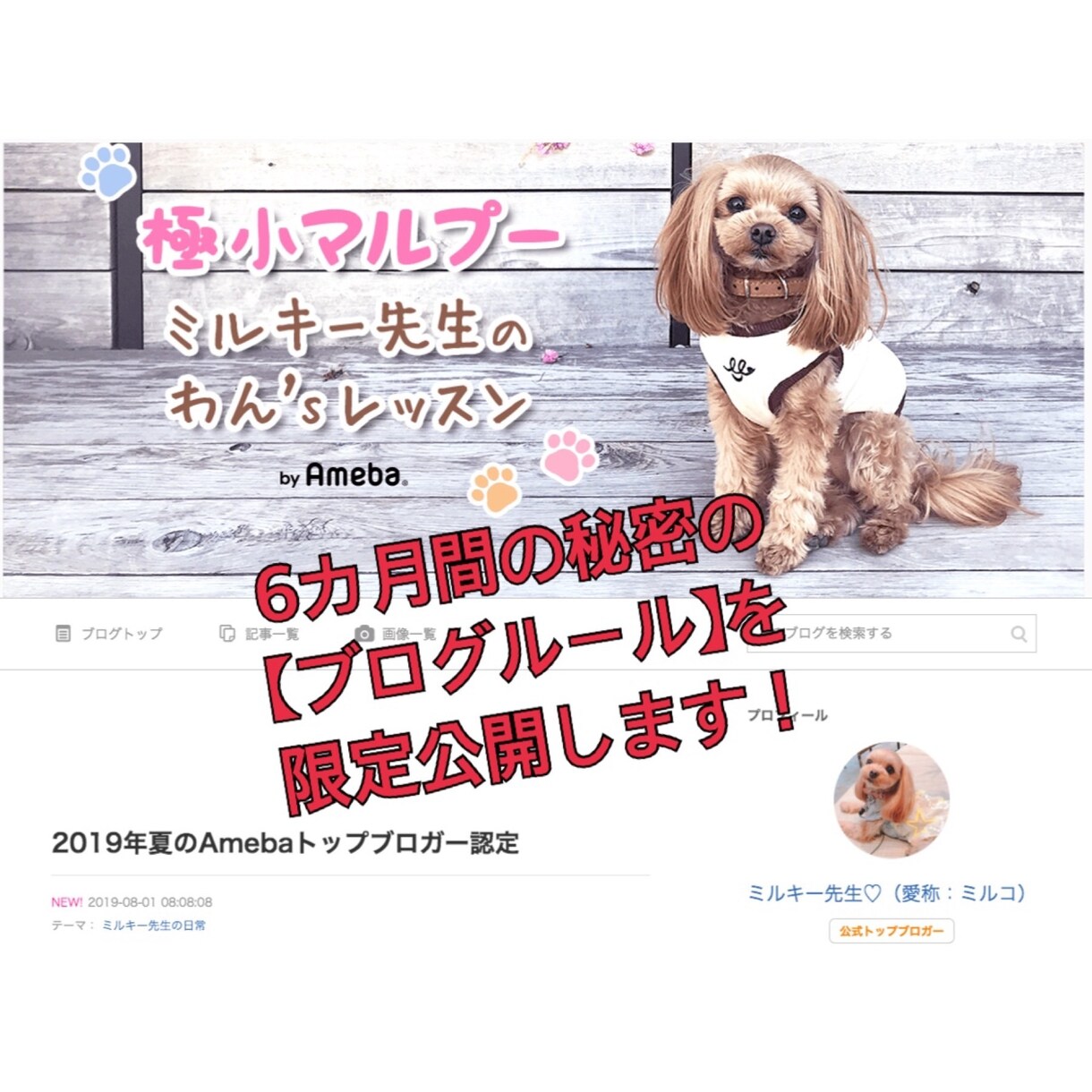 アメブロを5日間集中で徹底的に強化します 【Ameba公式トップブロガー】によるパワーブロガー養成術 イメージ1