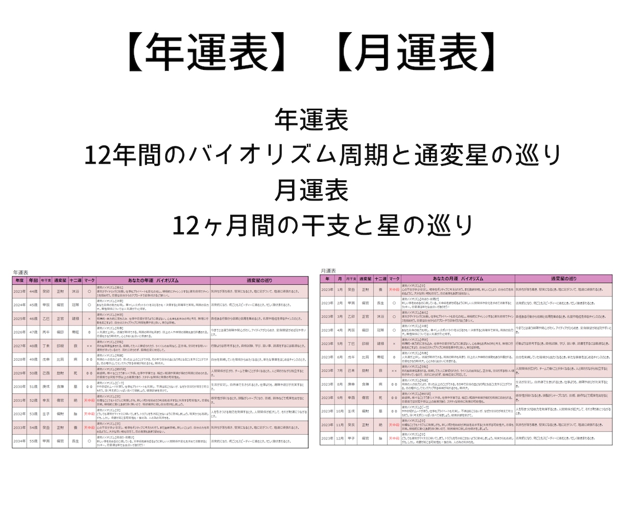 運勢占い★四柱推命であなたの運勢を鑑定します あなたの生まれ持つ本質や性格才能を知ることで運気を好転！ イメージ5