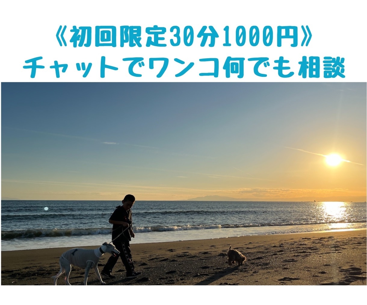 初回限定価格・犬に関する相談のります 子犬探し、育て方、問題行動、遊び方、子供との関係などお気軽に イメージ1