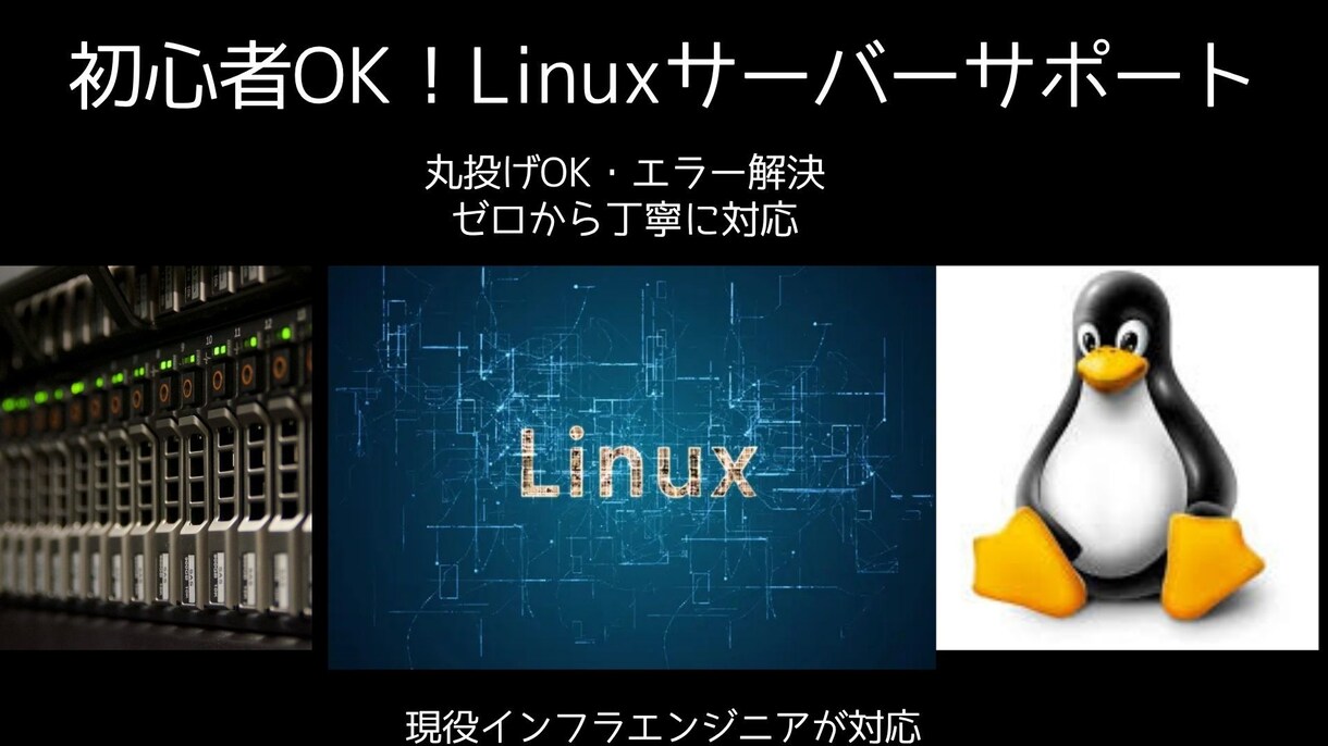 初心者OK！サーバー初期設定・トラブル対応します わからないをそのまま丸投げOK！ゼロからサポート＆解決！ イメージ1