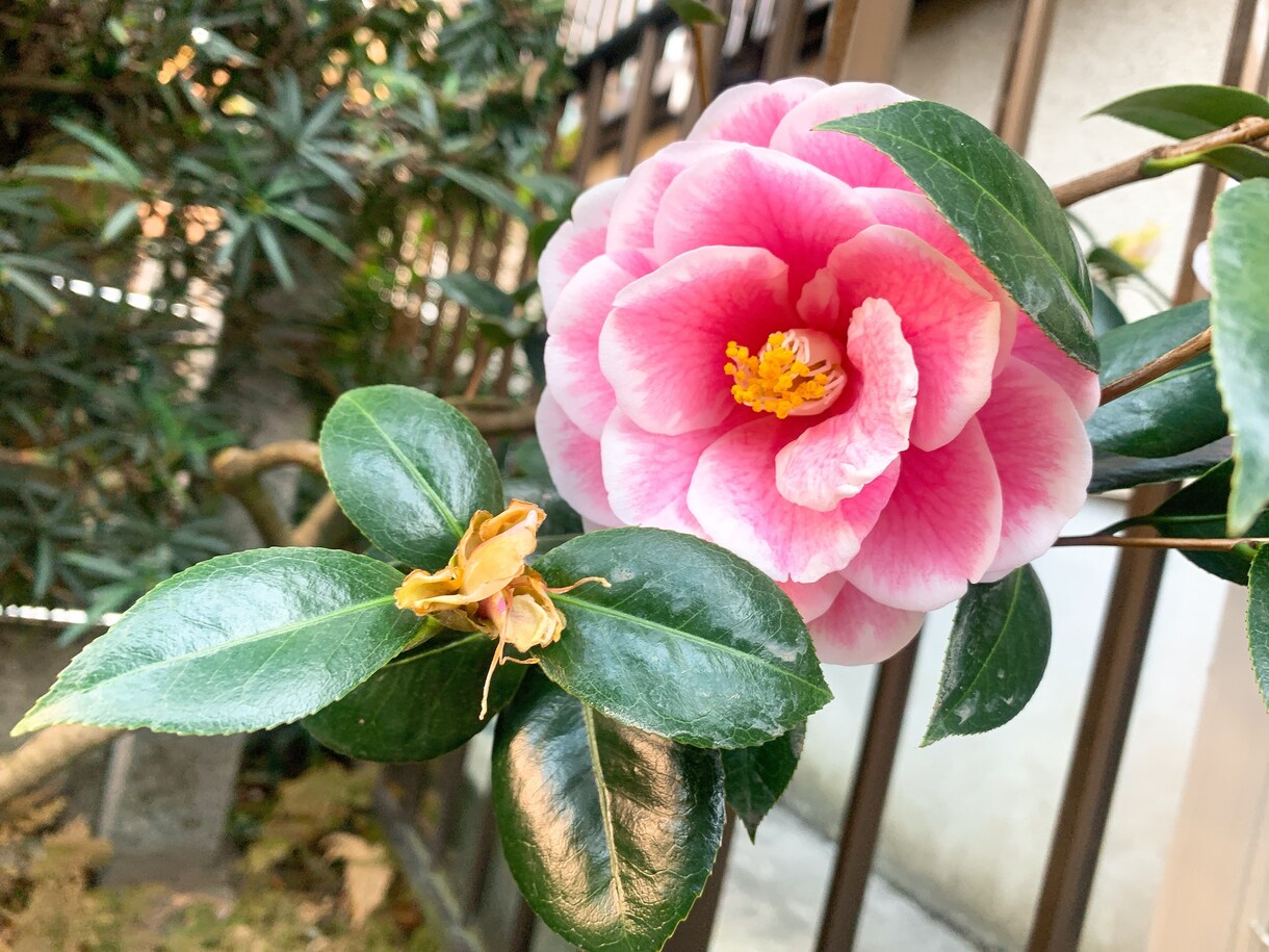 未来を見過ぎて不安になる方話聞きます 未来が不安な方、未来を見過ぎて考え込んでしまう方へ イメージ1