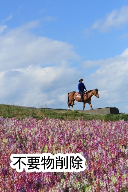 ちょっとした写真の修正・画像処理承ります 美肌修正や目の大きさ調整、髪型や衣服のシワ除去など。 イメージ7