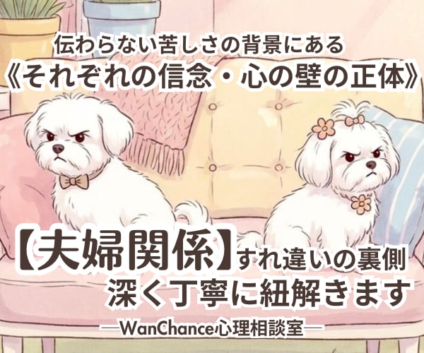 すれ違いの裏側【夫婦関係】深く丁寧に紐解きます 伝わらない苦しさの背景にある《それぞれの信念・心の壁の正体》 イメージ1