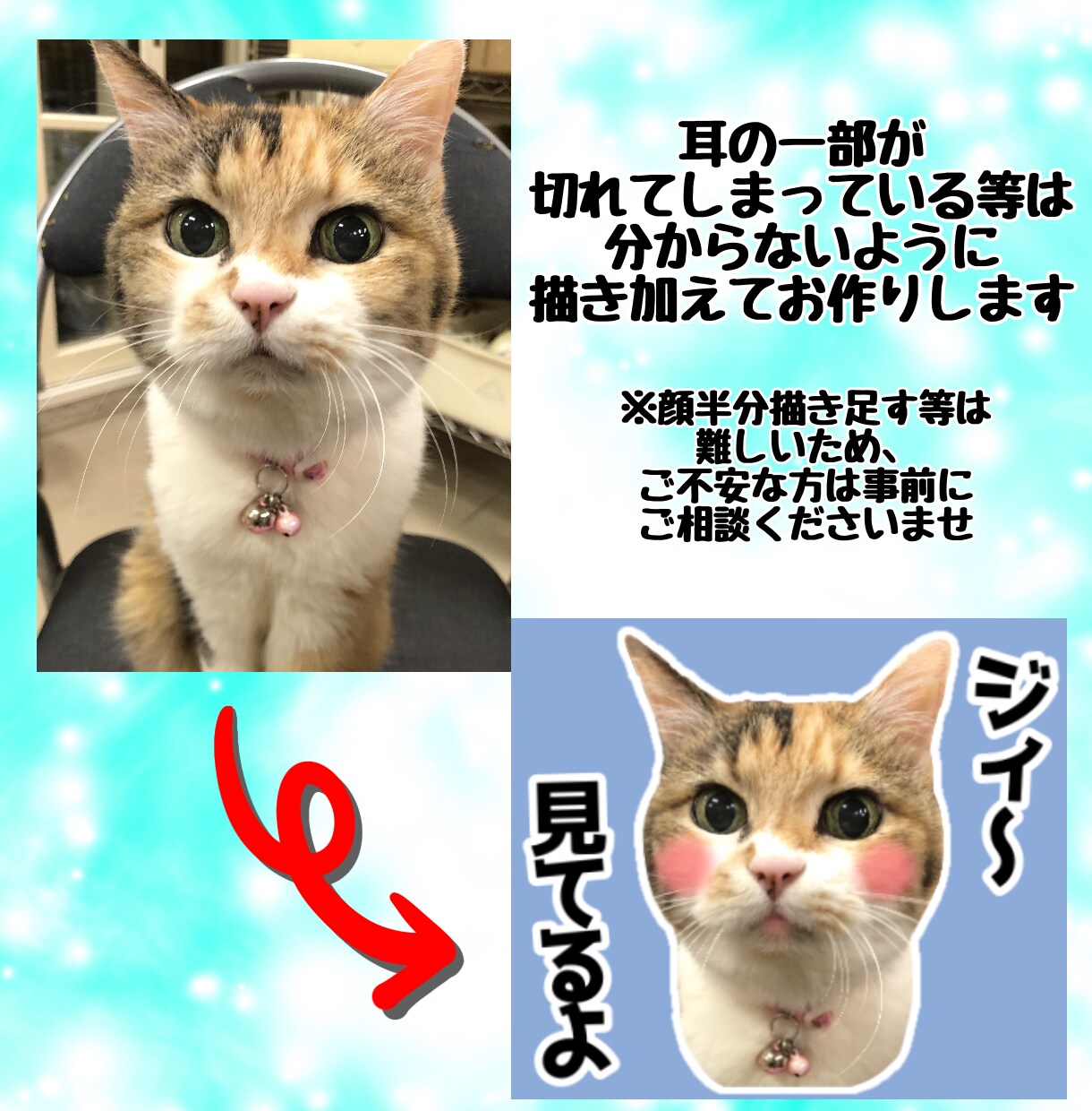 お写真を使ってLINEスタンプお作りいたします 無料修正、申請作業サポート有り！使い易いスタンプ作ります☆ イメージ3
