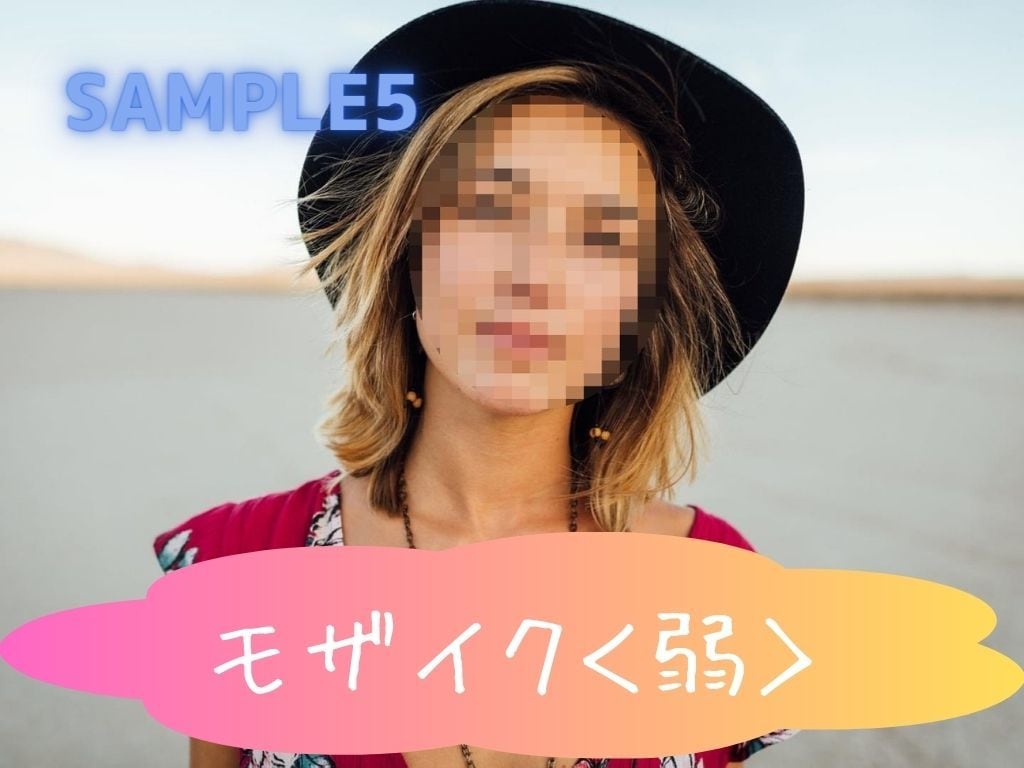 プライバシー保護に!!モザイク★ぼかし加工承ります お好みのモザイク濃度に調整します イメージ6