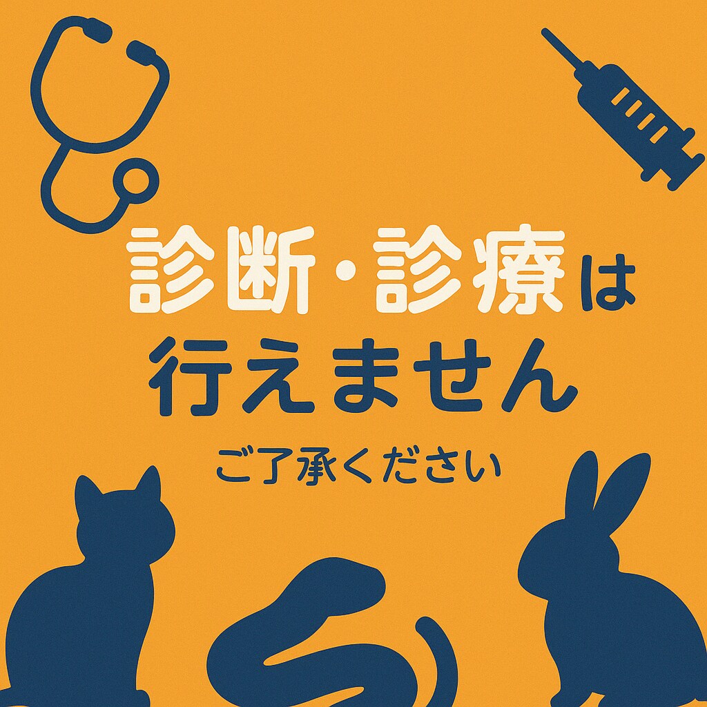 エキゾチックアニマルのお悩み相談お伺いします どんなペットの相談でもOKです イメージ9