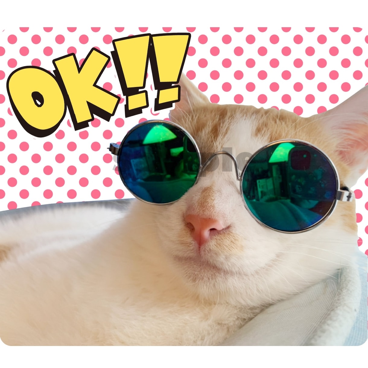 猫や犬、カワイイうちの子LINEスタンプつくります かわいいペットの写真でLINEスタンプをつくりませんか？ イメージ9
