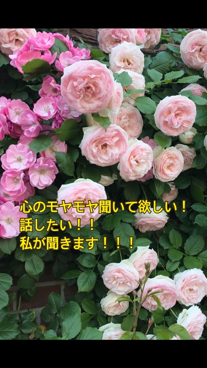 あなたの今の苦しみ私が受け止めます 最近モヤモヤして苦しい、話したい方のお話聞きます！ イメージ1