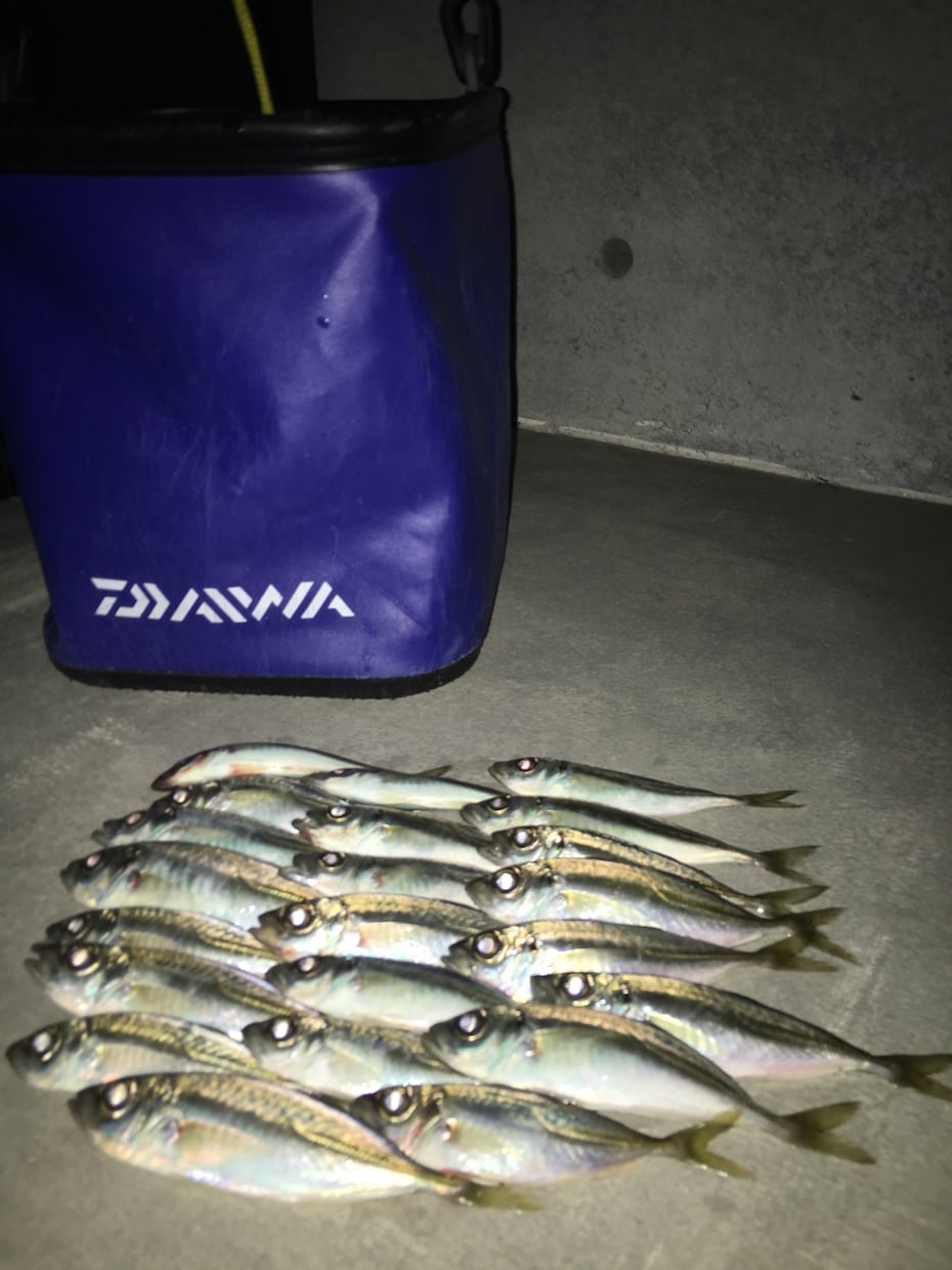 釣り歴7年が海の釣テク教えます 海釣り初心者の方にボウズにならない必釣法を教えます！ イメージ2