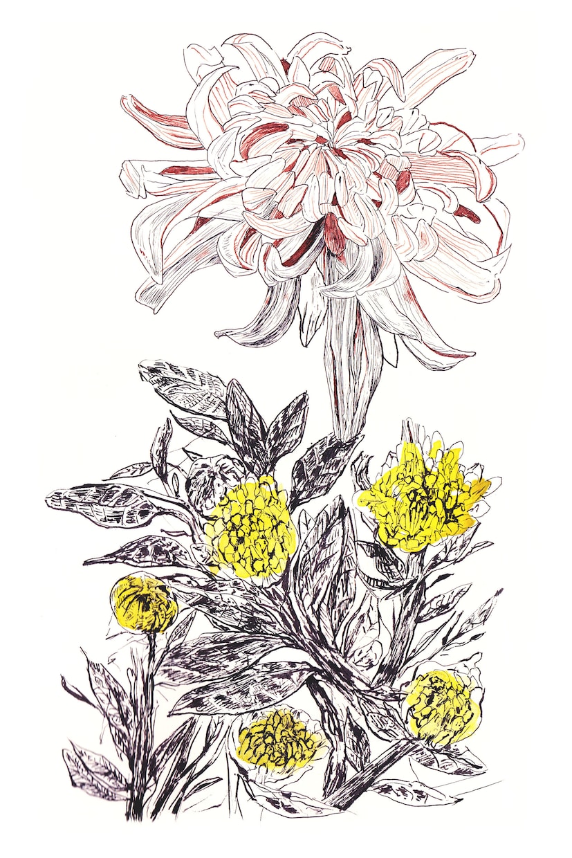 店舗装飾に実績あり＊手描きの植物イラスト描きます カフェのガラス面装飾など商業実績のある繊細な手描きペン画 イメージ5