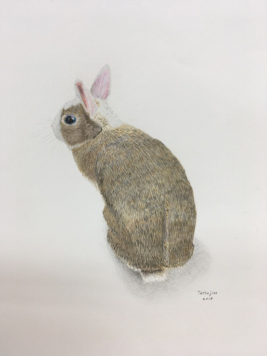 色鉛筆で、あなたが描いて欲しい絵を描きます あなたが大切にしている人や動物、モノなどを絵で残しませんか。 イメージ5