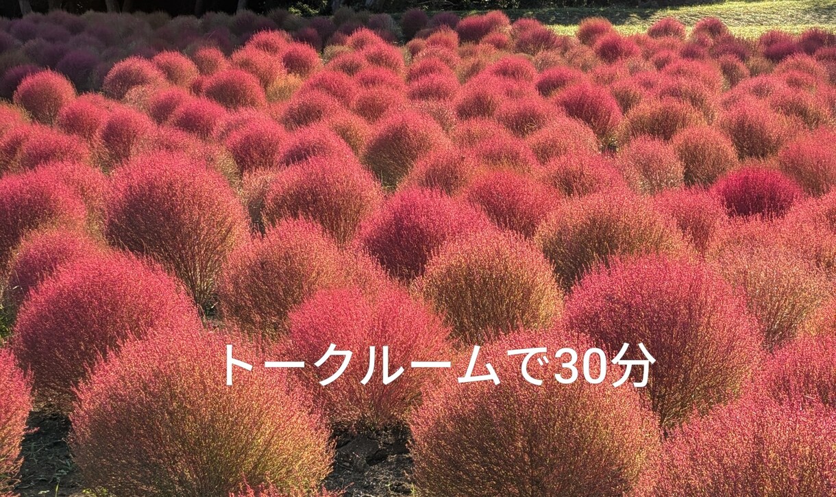 日々のモヤモヤしたこと、雑談、愚痴聞きます 思ったこと、キズついたこと、色んなことを聞かせて下さい。 イメージ1