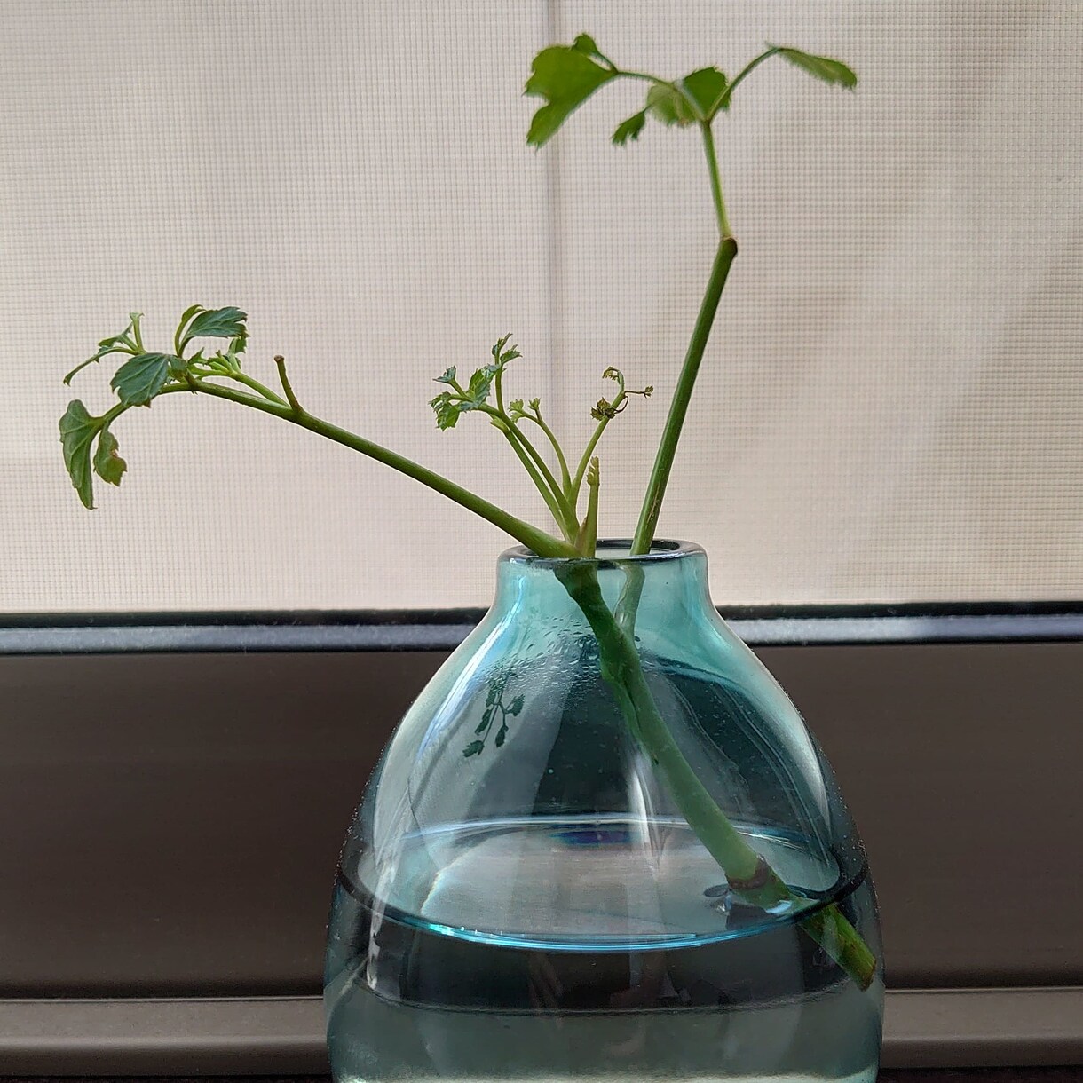 40・50代の透明感のある雰囲気作りお手伝いします 人生これからです！一緒に楽しみましょう！ イメージ1