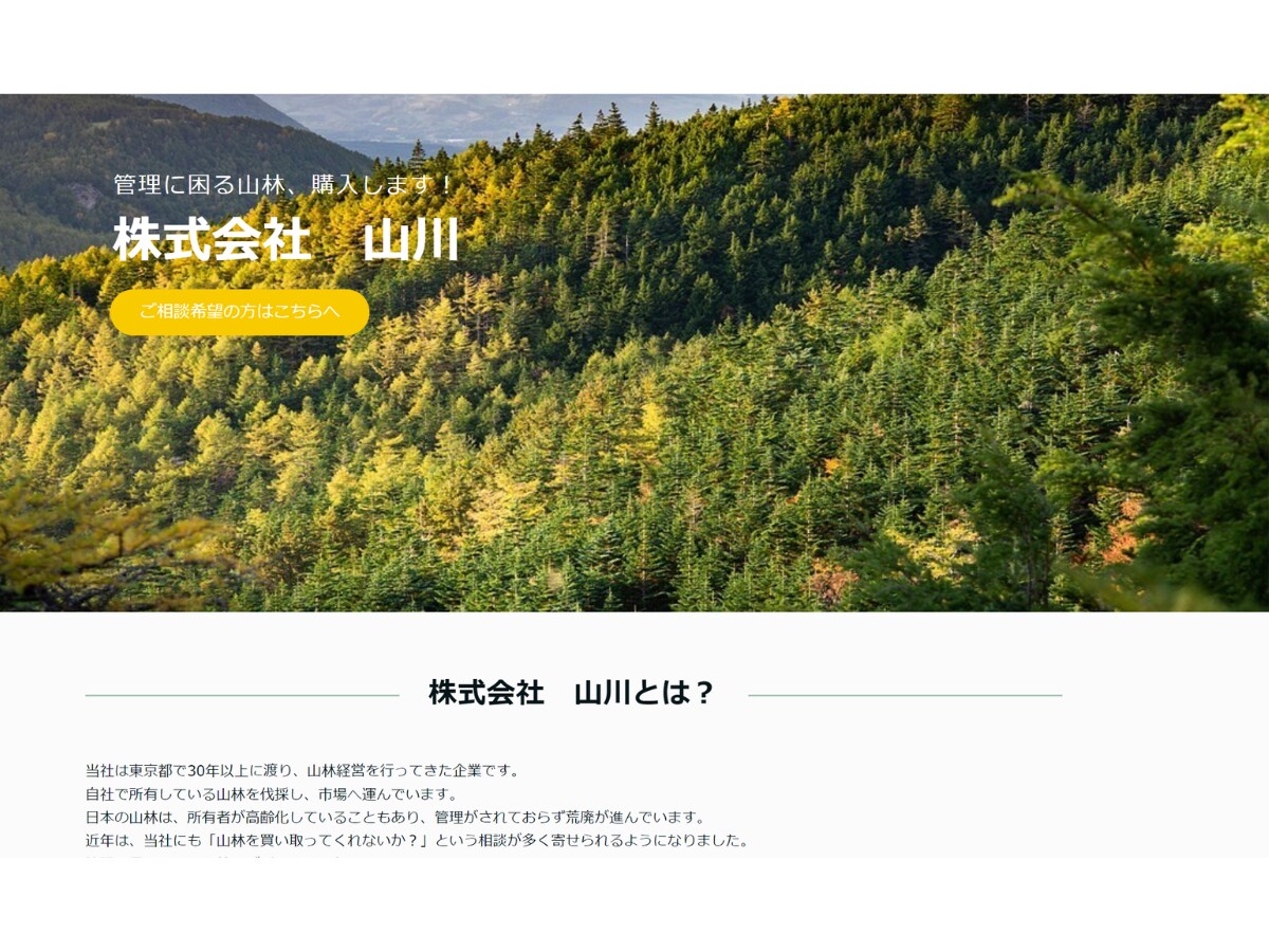 おしゃれで目にとまる素敵なLP制作いたします 低単価高品質、無料修正無制限で理想のLP制作 イメージ2