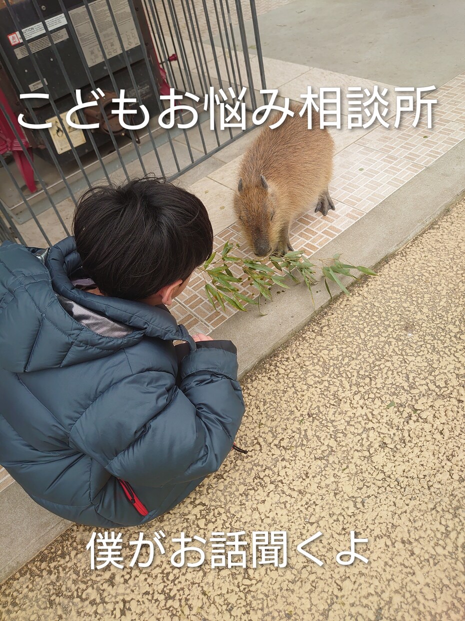 こどもお悩み相談所りく君がお答えします 人間関係、恋愛、お悩み全般【おまけでタロット占いあり】 イメージ1