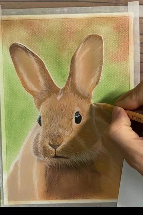 猫、犬など動物の描き方を23動画＋特典で納品します パステルでリアルな動物を描く方法をプロの講師が徹底解説！！ イメージ5