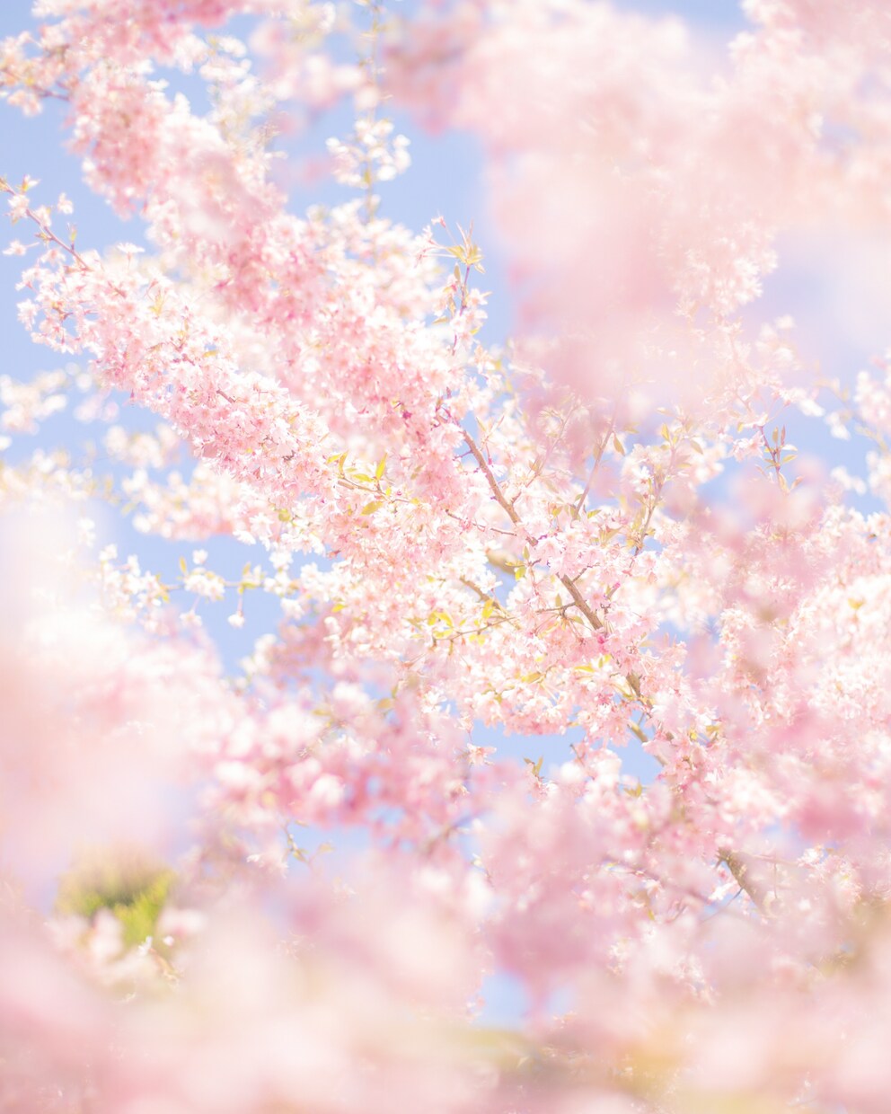 介護の悩み、現役ケアマネが伺います もう一人で悩まない。あなたの心に寄り添います✨ イメージ7