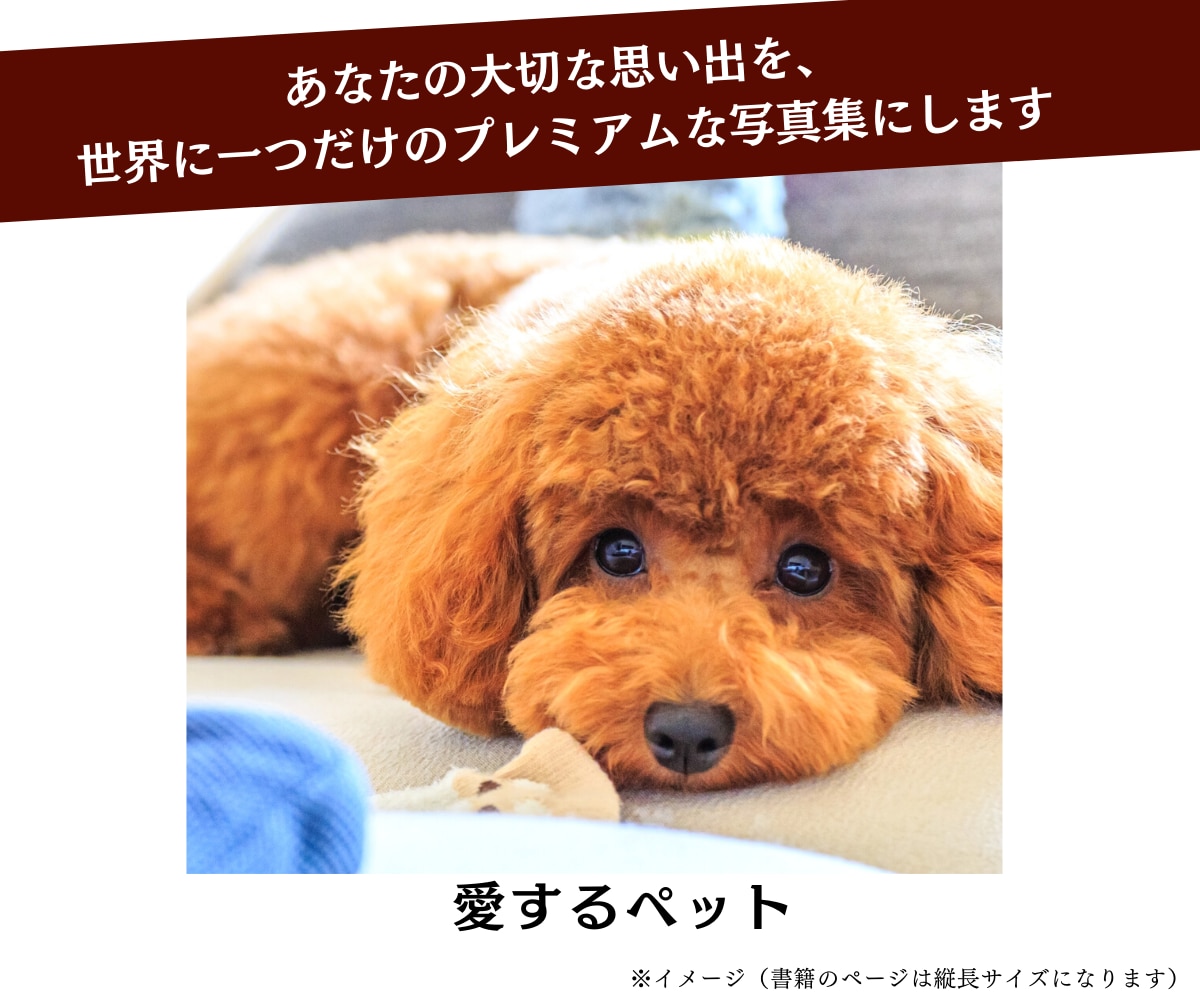 Amazon写真集出版をトータルサポートします 電子書籍・ペーパーバック・表紙をお任せ！特別パーソナルプラン イメージ4