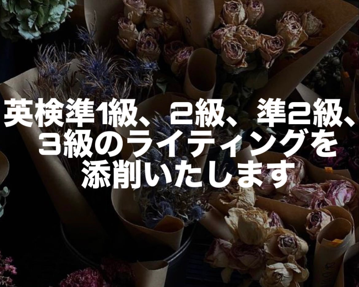 上智大学生が英検ライティングを丁寧に添削します 自然で伝わる英語表現＆高得点のコツを解説！ イメージ1