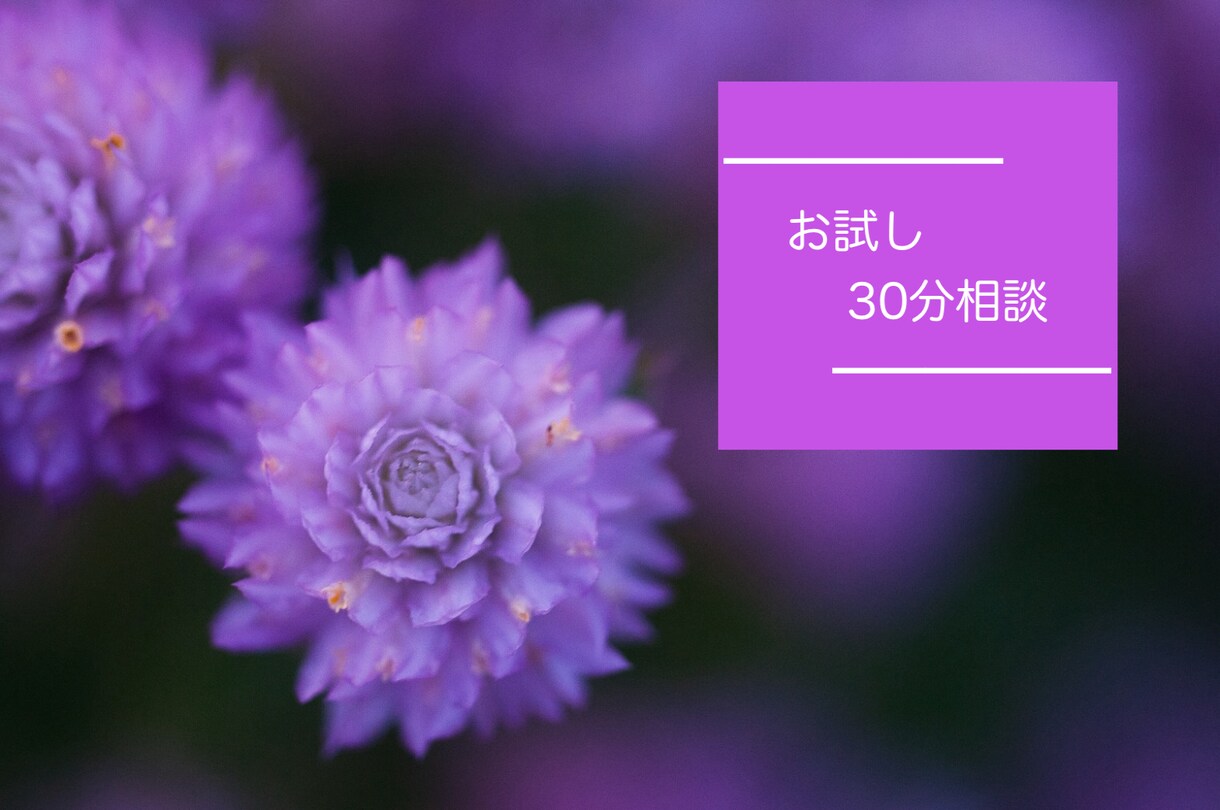 依頼前のお試し相談します 相談前のお試し短時間相談です。 イメージ1