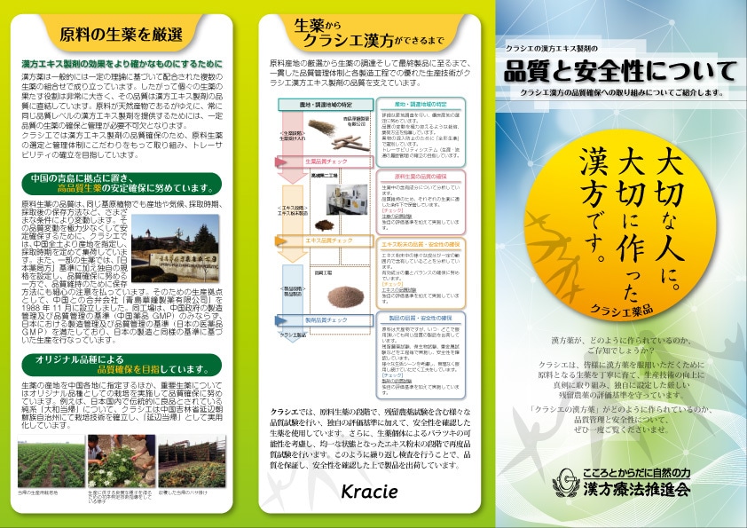 プロのデザイナーがチラシを制作します 売れるチラシ・フライヤーを制作します【印刷データ納品可】 イメージ5