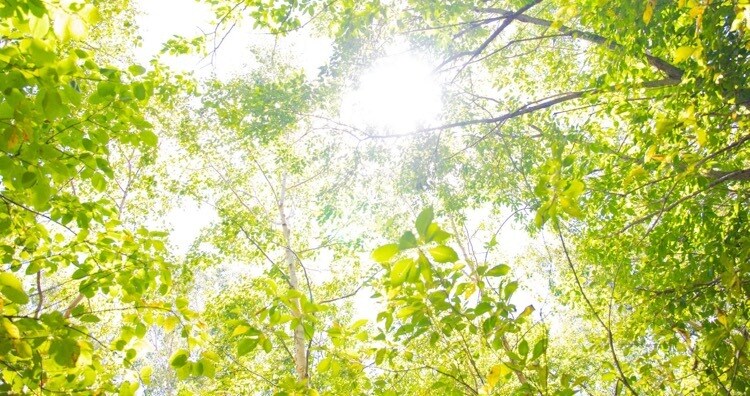 誰かと少しだけ話したい時に。5分でもお話聞きます 少し疲れてる時、寂しい時、誰かと会話したい時。愚痴、雑談OK イメージ8