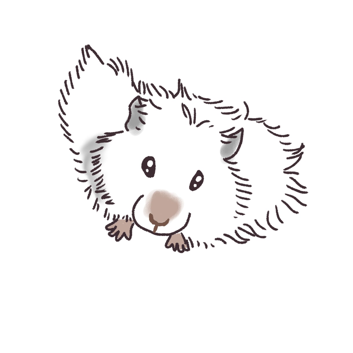 ゆるかわほっこりかわいいペットのイラスト描きます バラバラの写真からぎゅっと集まった1枚のイラストに。 イメージ4