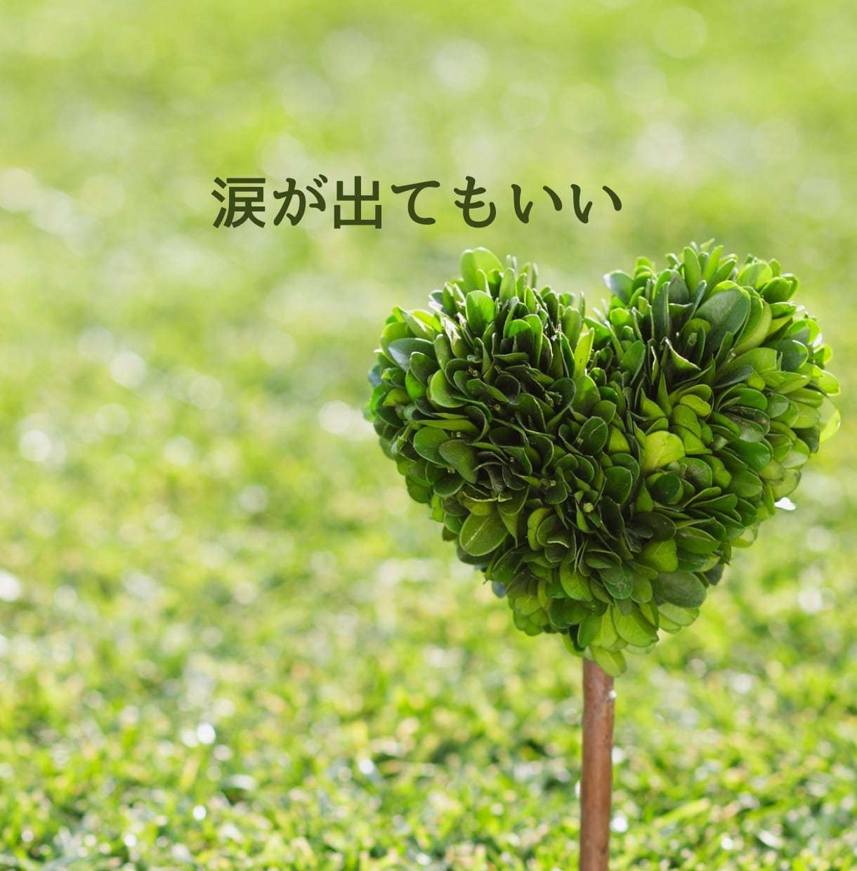 自分を責めてしまう心にそっと寄り添います ☆☆安心して本音を話せる対話で、心をそっとほどきます☆☆ イメージ6