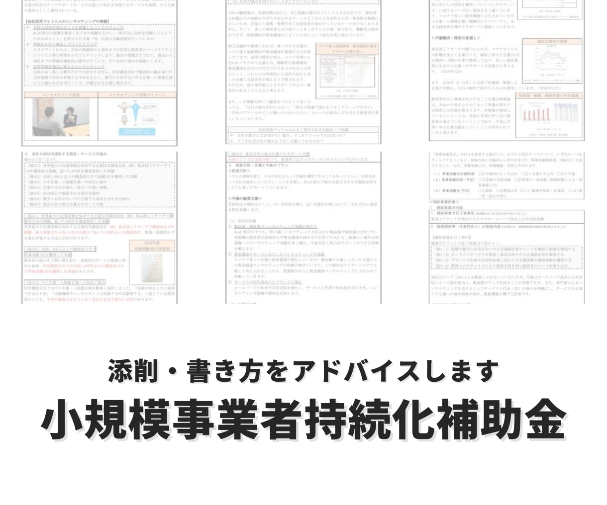 小規模事業者持続化補助金の申請書を添削します 経済産業省が認定する経営革新等支援機関が改善点をアドバイス！ イメージ2