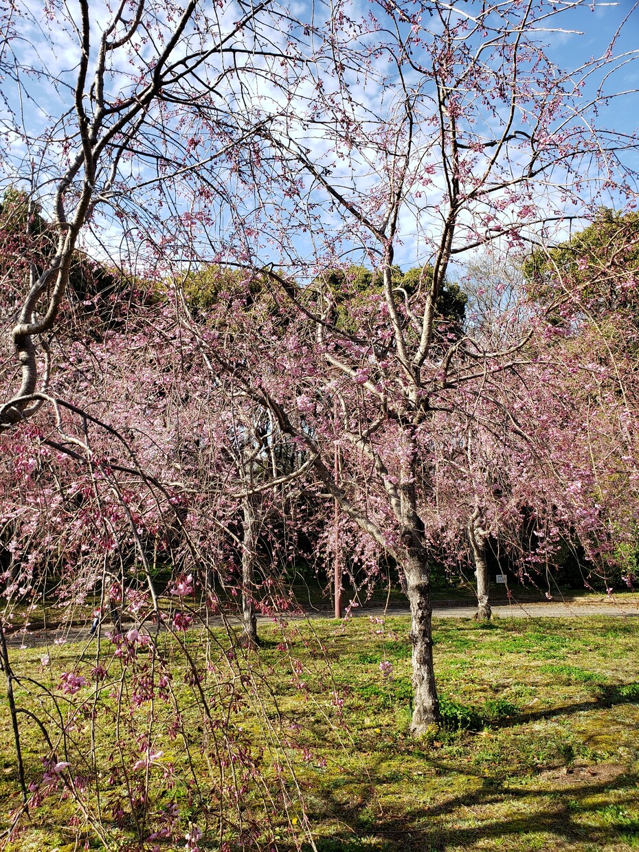 お試し30分間日頃の愚痴聞きます うまく話せなくてもぽつりぽつりからでも大丈夫話しましょう イメージ1
