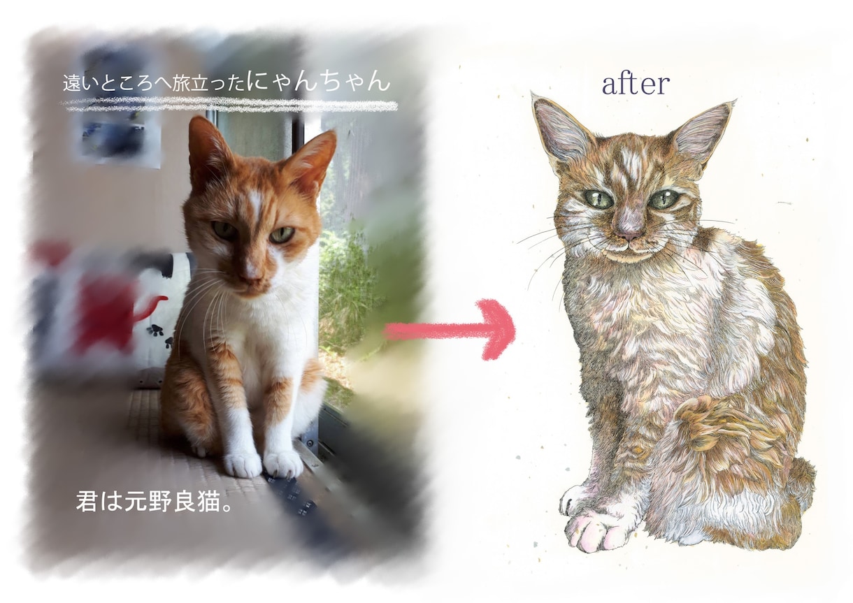 温もりを感じる高解像度ペットイラストを手描きします 大好きなペットを柔和な雰囲気の絵にしてみませんか？ イメージ2