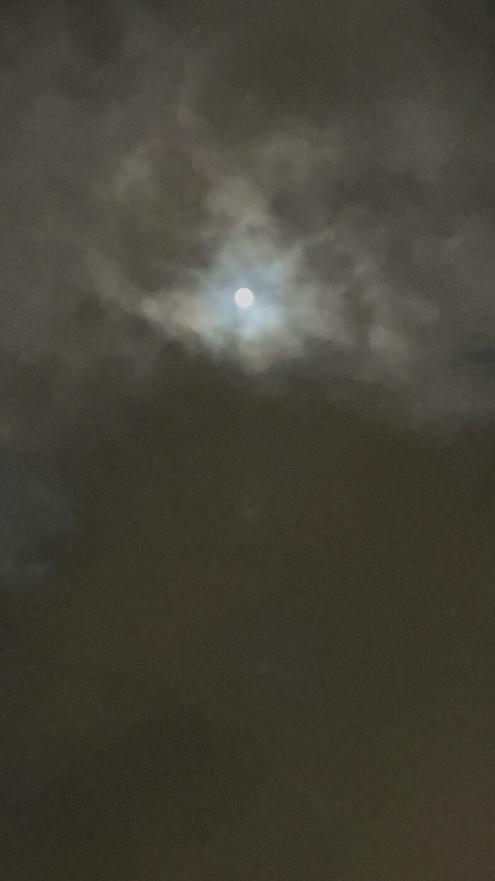 仕事、転職時期等について詳細解説いたします 占星学的観点から、ご自身を覗いてみませんか。カードも引きます イメージ3