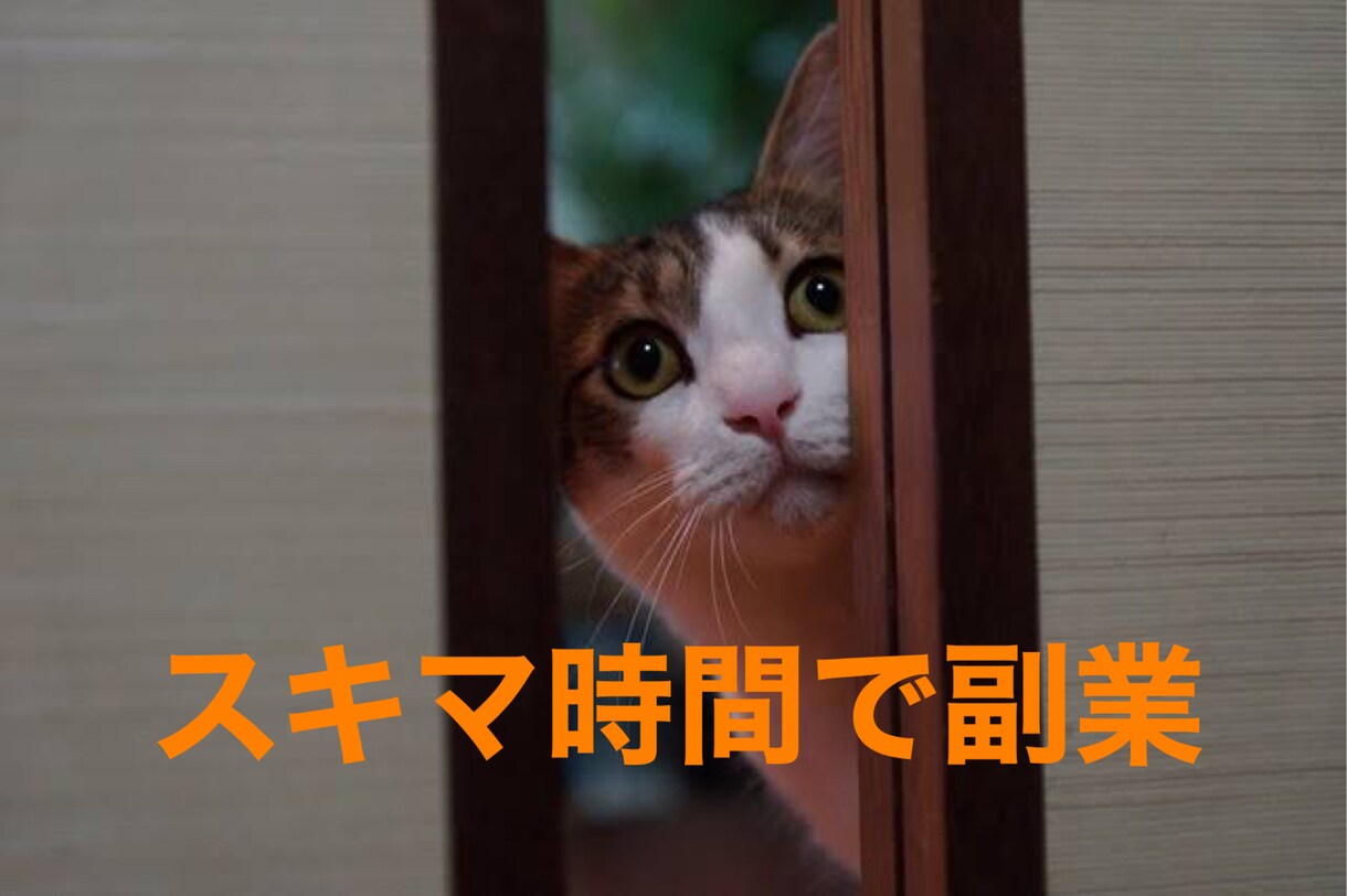 令和3年度、スキマ時間のかんたん副業教えます 休憩時間、電車の移動時間にササッと副業！ イメージ1
