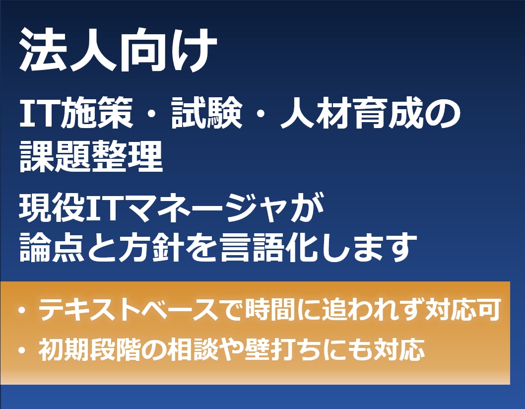 法人向け|IT施策・試験・人材の課題を整理します 現役ITマネージャによる方針相談・論点整理(テキストのみ) イメージ1