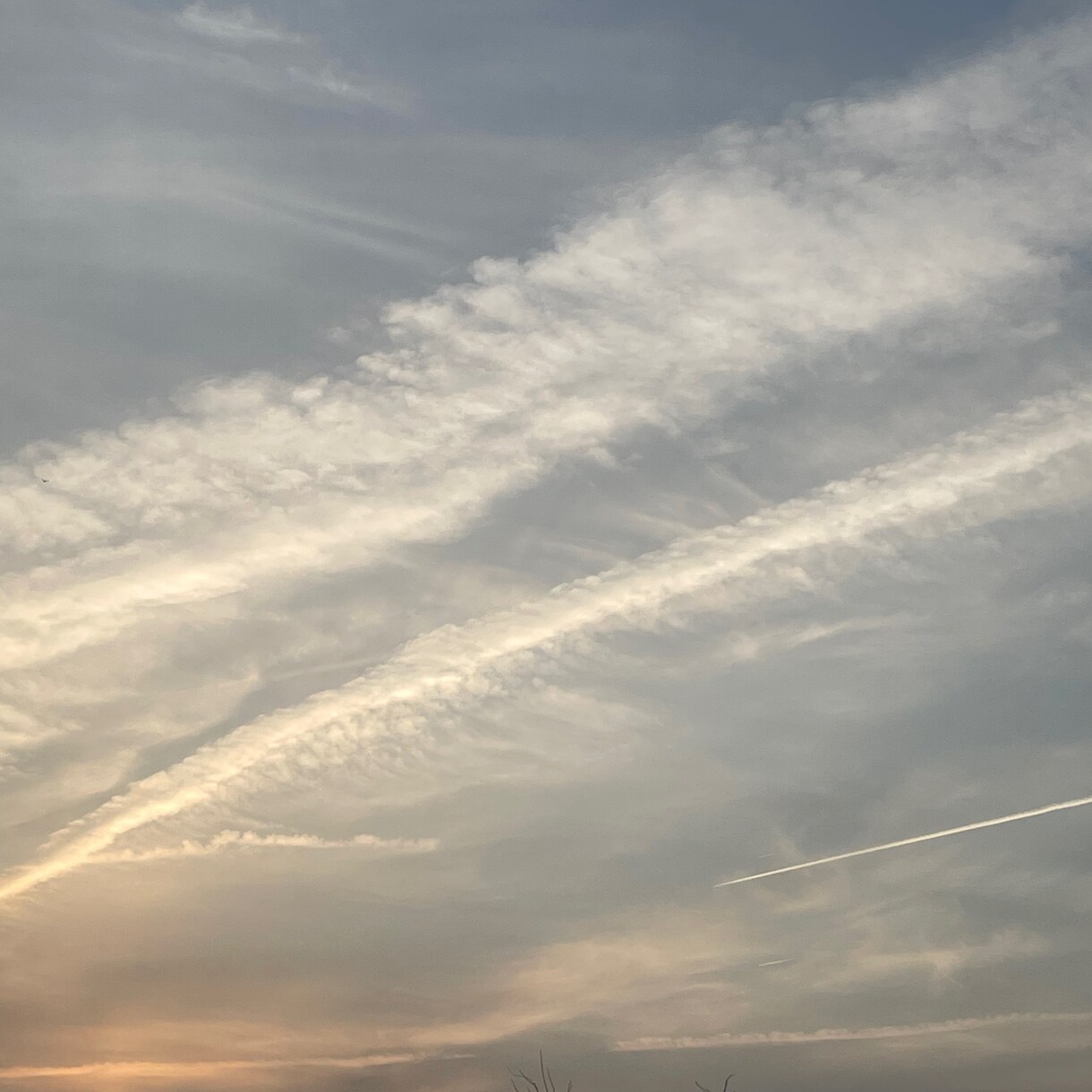 空　の写真素材を提供いたします 【空の写真】綺麗\癒し\素敵\ブルー イメージ4