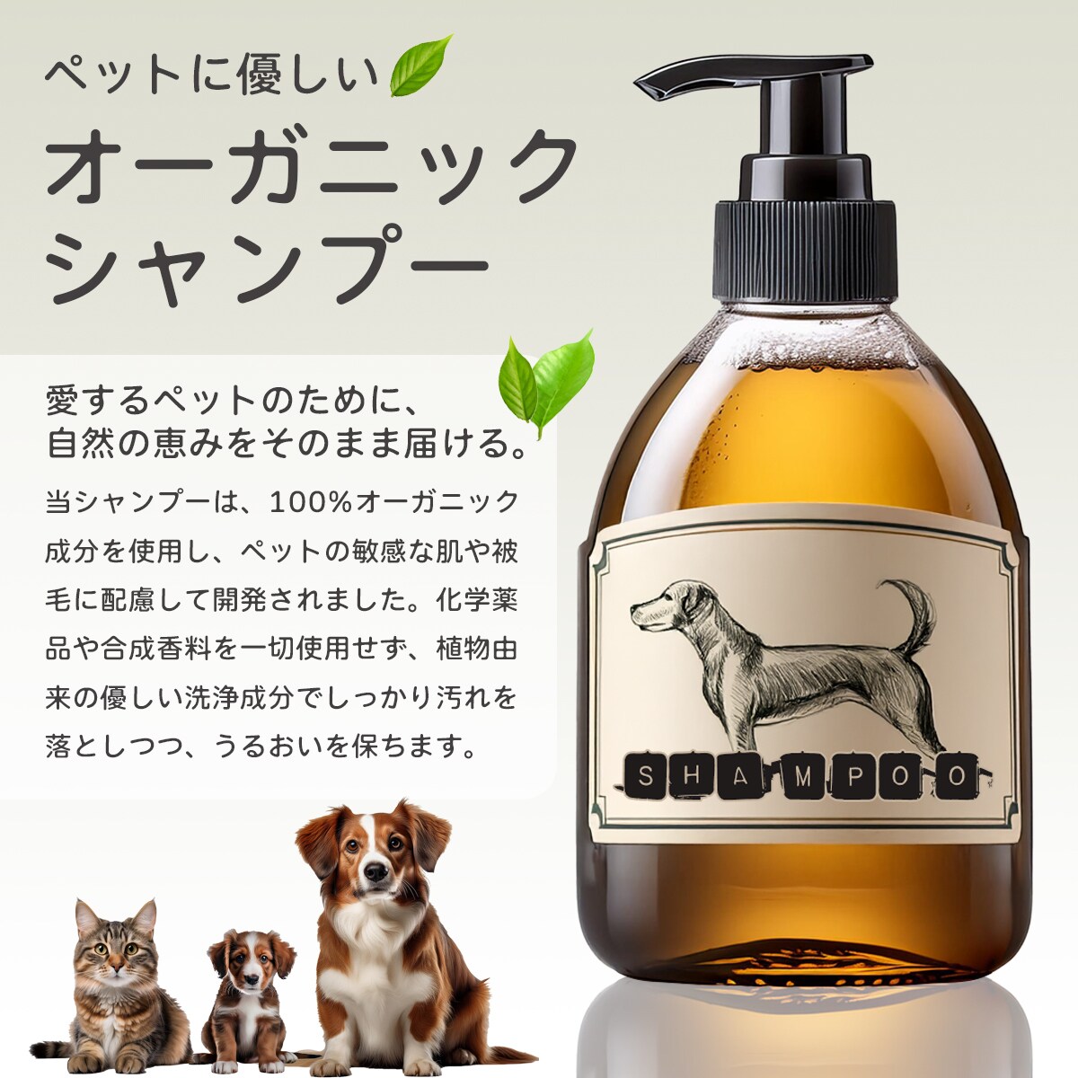 ECサイトの商品画像作ります 出品モールに対応した商品画像の提供 イメージ5