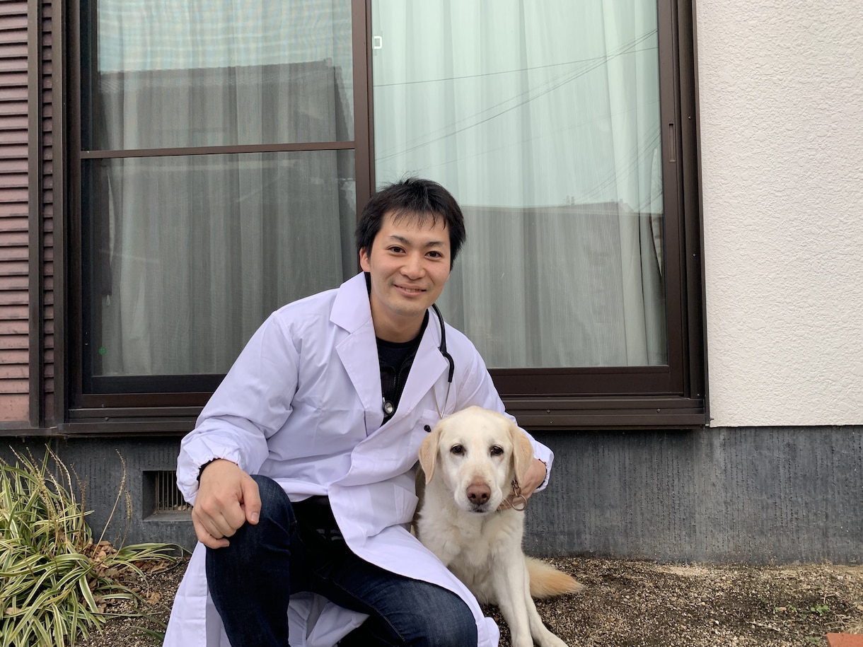 獣医師が犬猫の健康や予防について相談にのります 生活様式や食事についてなどなんでもお聞きください。 イメージ2