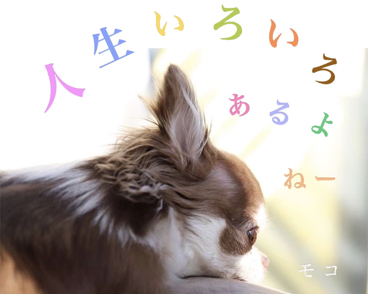 ２日間or１時間、親身にお話聞きます 電話は苦手！あー誰か聞いてほしいなー、それモコが聞きます♡！ イメージ1