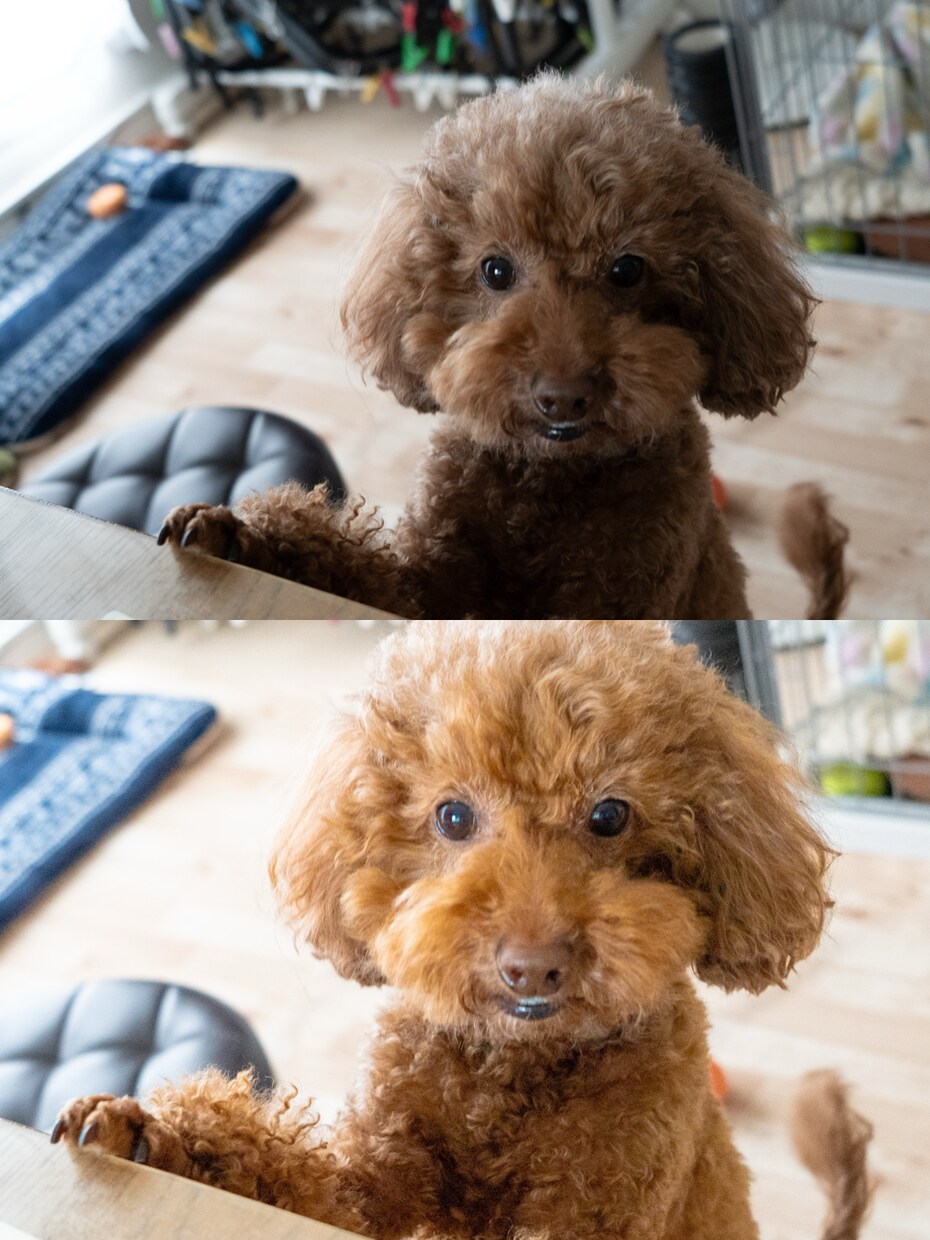 レタッチ代行します 明るくするとノイズが乗る暗所をぱきっと美しく仕上げます。 イメージ1