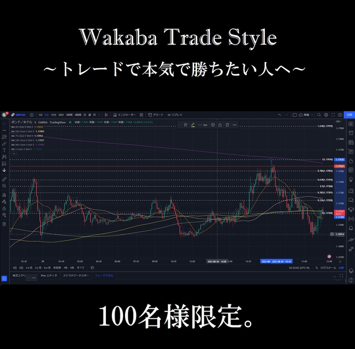 相場に張付かず専業トレーダーになった秘訣を教えます 完全裁量かつ特殊なツールを使わない裁量スキャルピング手法 イメージ1