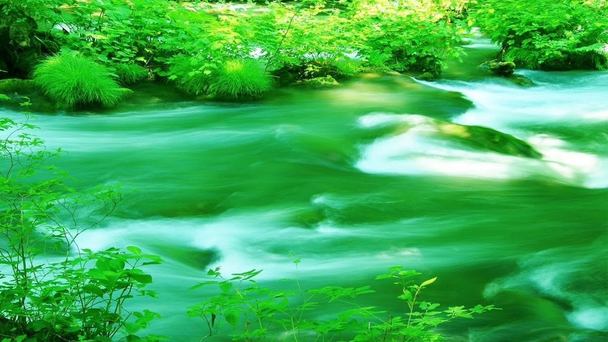 あなたの気持ち、まるごと受け止めますます あなたの声に耳を澄ます、特別な時間 イメージ2