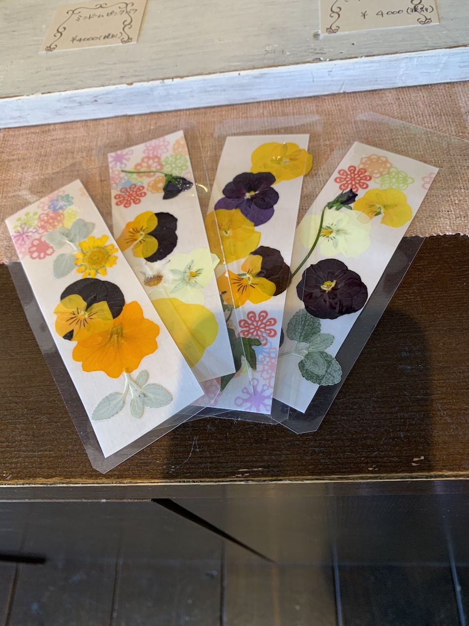 押し花しおり、コースターを作ります 季節の花をラミネートして作りました。 イメージ2