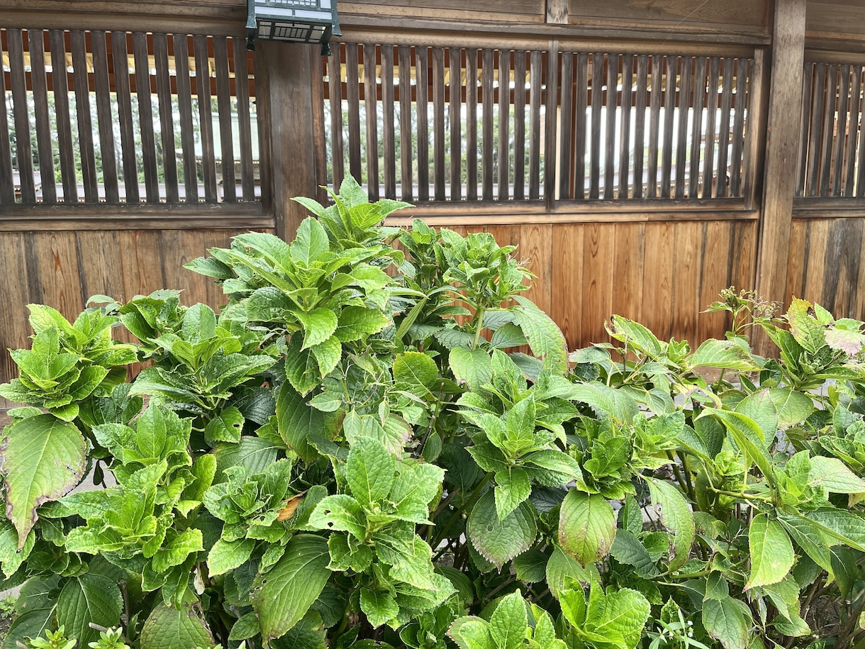 1人で抱え込まず何でも話してください。鑑定します 【大手占いアプリ所属】1,000文字以上の鑑定メッセージ イメージ2