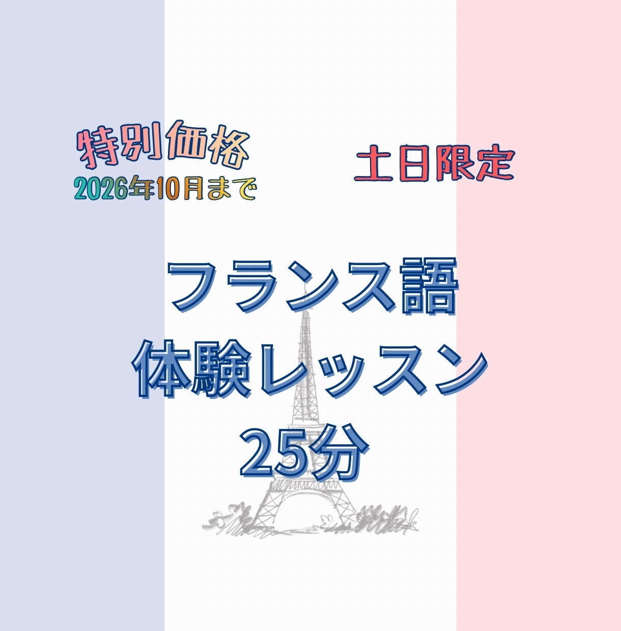 フランス語25分の体験レッスン！文法か会話選べます 仏検1級•C1のお母ちゃん先生とオーダーメイドレッスン準備 イメージ1