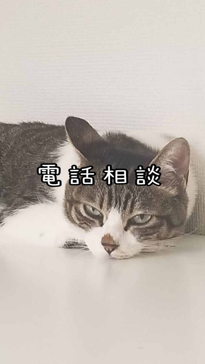 お電話相談致します お悩みや日常の出来事何でもお聞きいたします^ ^ イメージ1