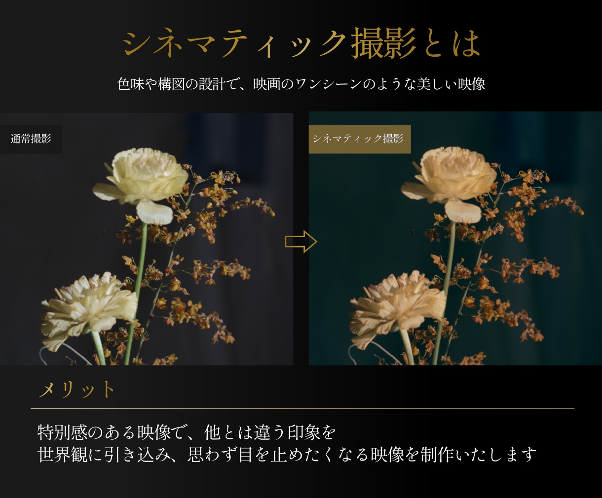 シネマティックな映像でお店のPR動画制作します 特別感のある映像でらしさを表現 イメージ3