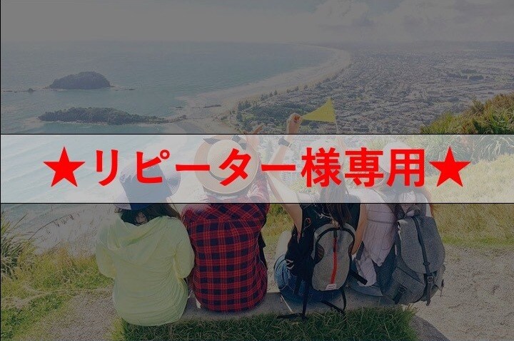 リピーター様向け！オリジナル旅行プラン作成します 行きたい旅行のテーマを教えて下さい！最高のプランを提案します イメージ1