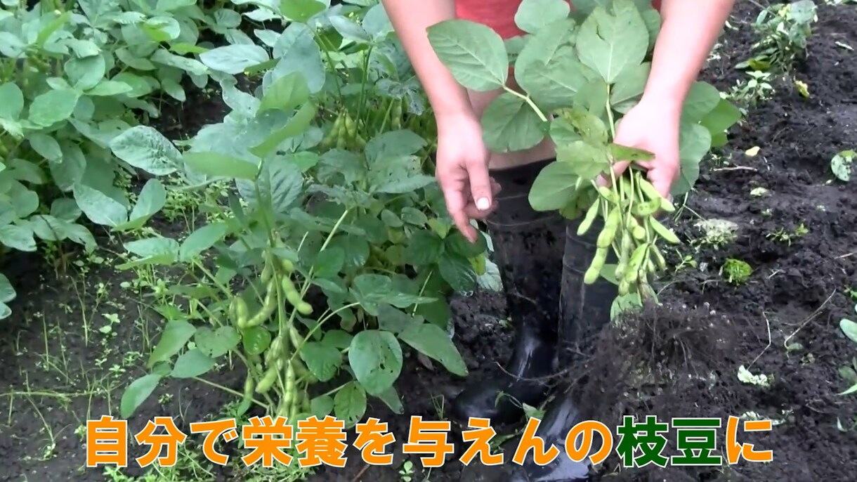 youtubeの動画編集をします 様々なジャンルの動画編集をお引き受け致します。 イメージ6