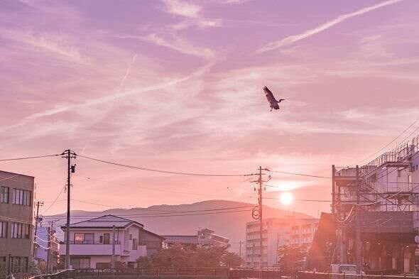 普段の悩み事や、愚痴などを全般的にお聞きします 友達感覚でお気軽にお電話して下さい。誠心誠意お相手致します。 イメージ1